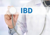 IBD - Inflammatory Bowel Disease. Medical Concept Medicine doctor hand working on virtual screen
